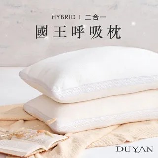 DUYAN竹漾 枕頭 -法國天然水鳥羽絨枕 台灣製 歷史價格詳細信息
