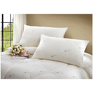 JOANNA 透氣枕-2入 歷史價格詳細信息