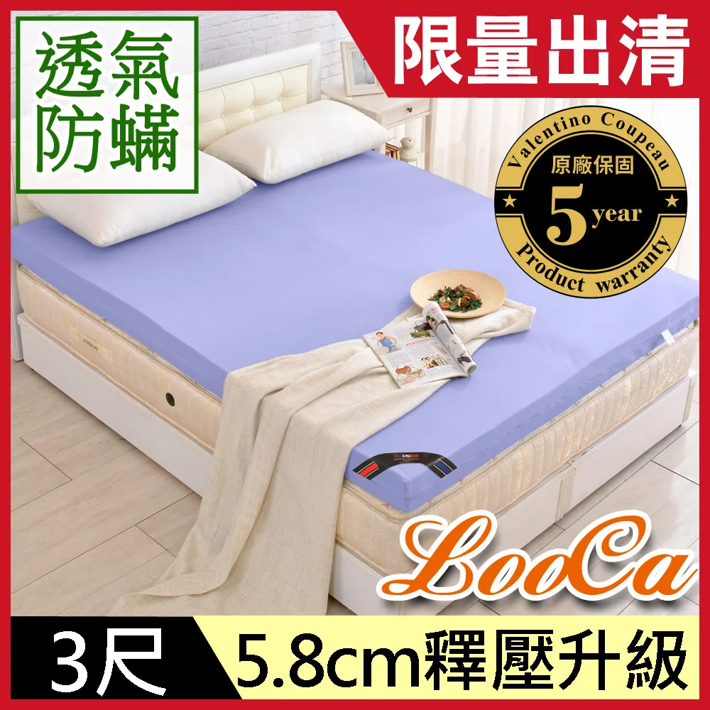 【LooCa】滅蹣先生10.8cm記憶床墊+吸濕排汗布(單大3.5尺★限量出清★范倫鐵諾) 歷史價格詳細信息