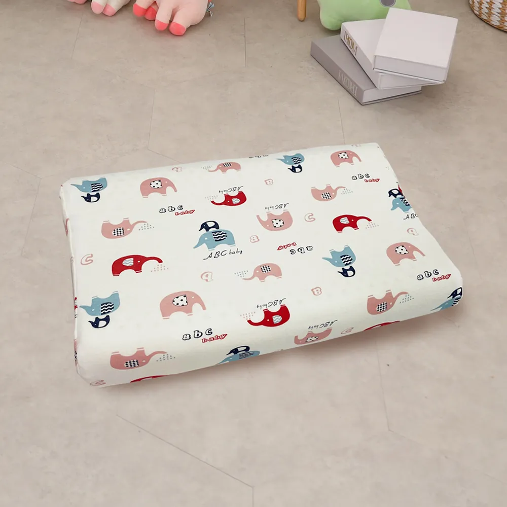 【Leafbaby】台灣製幼兒園專用可機洗A/B版設計精梳純棉兒童睡墊三件組-彩色懶龍 歷史價格詳細信息