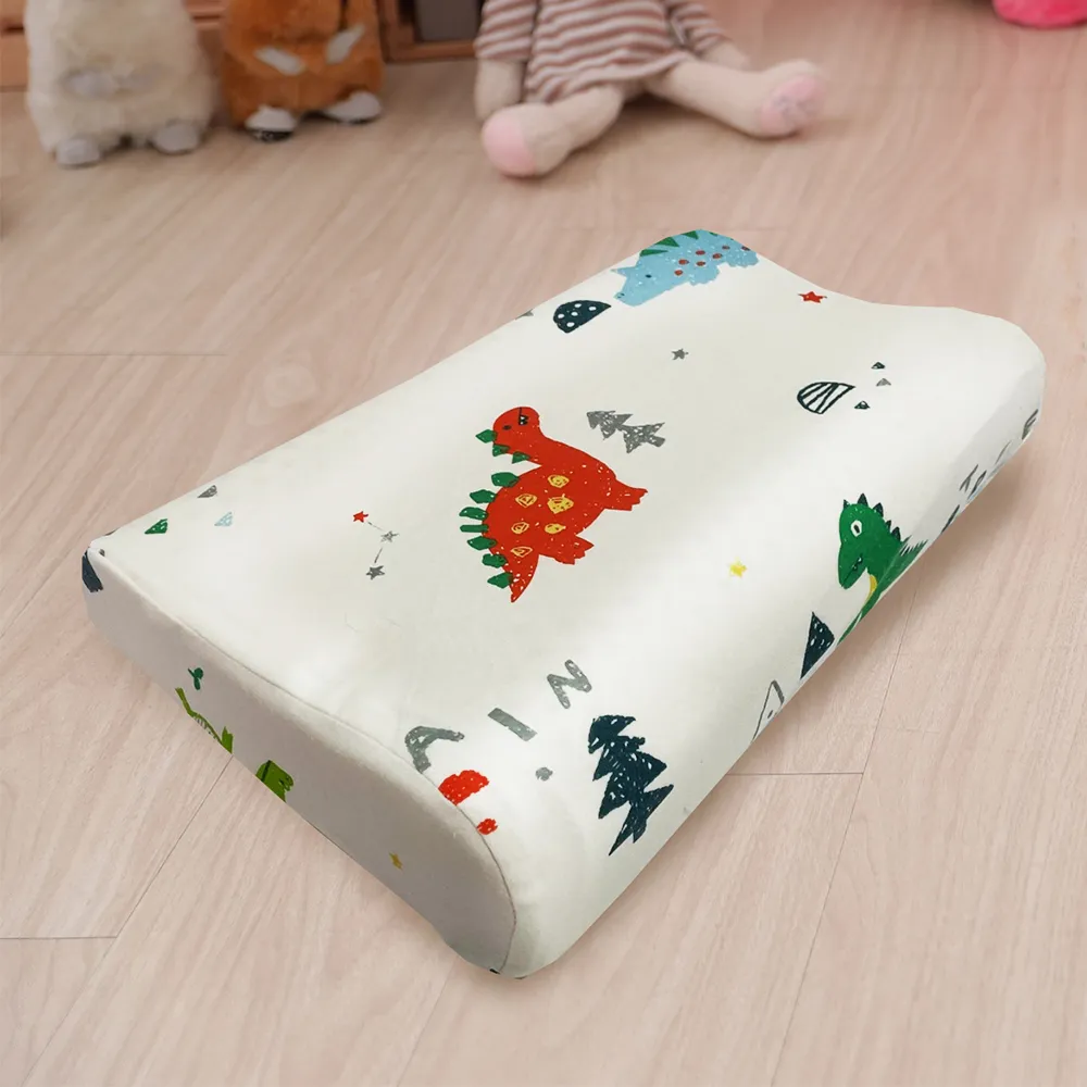 【Leafbaby】台灣製幼兒園專用可機洗A/B版設計精梳純棉兒童睡墊三件組-彩色懶龍 歷史價格詳細信息