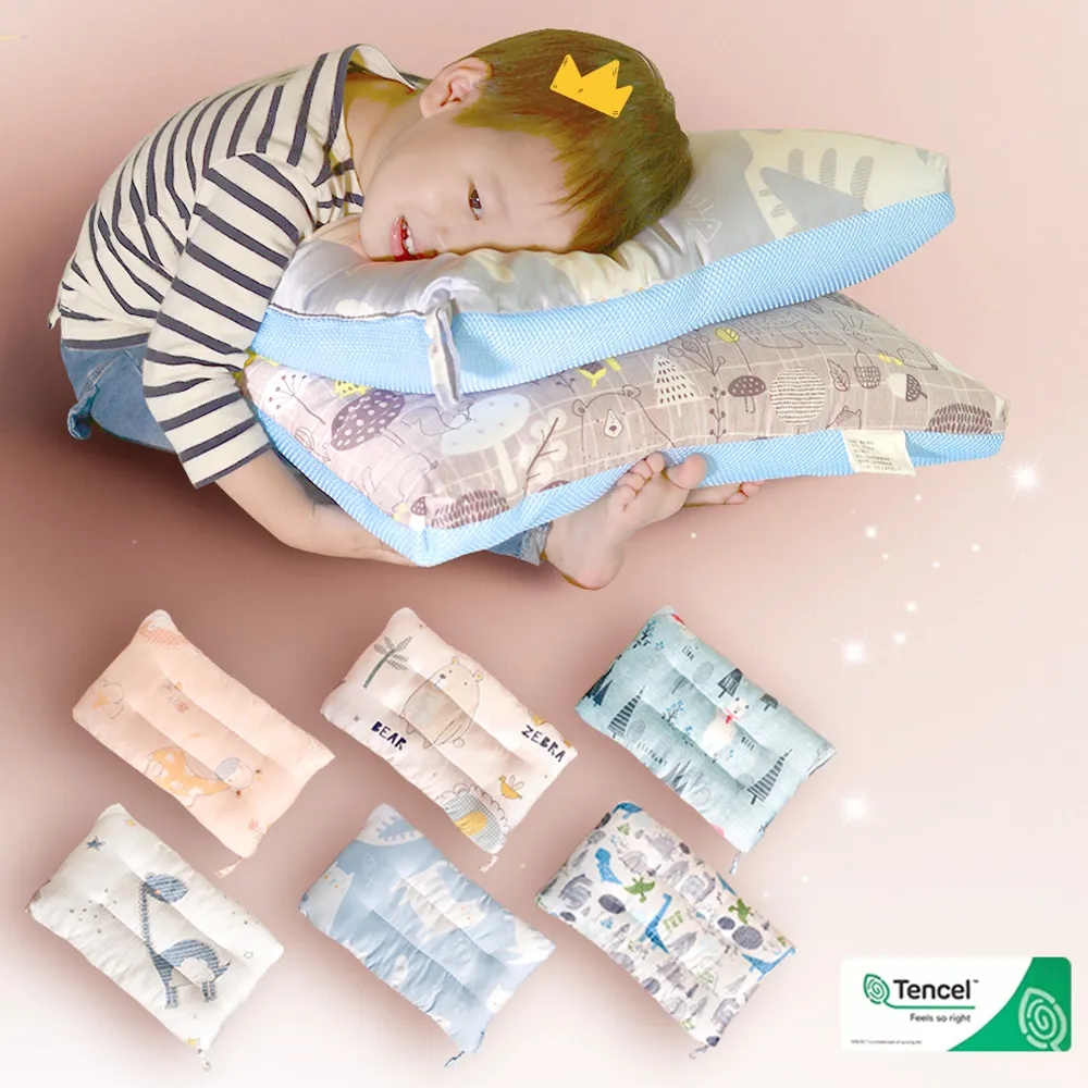 《Embrace英柏絲》(買一送一) 石墨烯恆溫循環 舒鼾枕 紅外線 止鼾 可水洗 人體工學 台灣製 歷史價格詳細信息