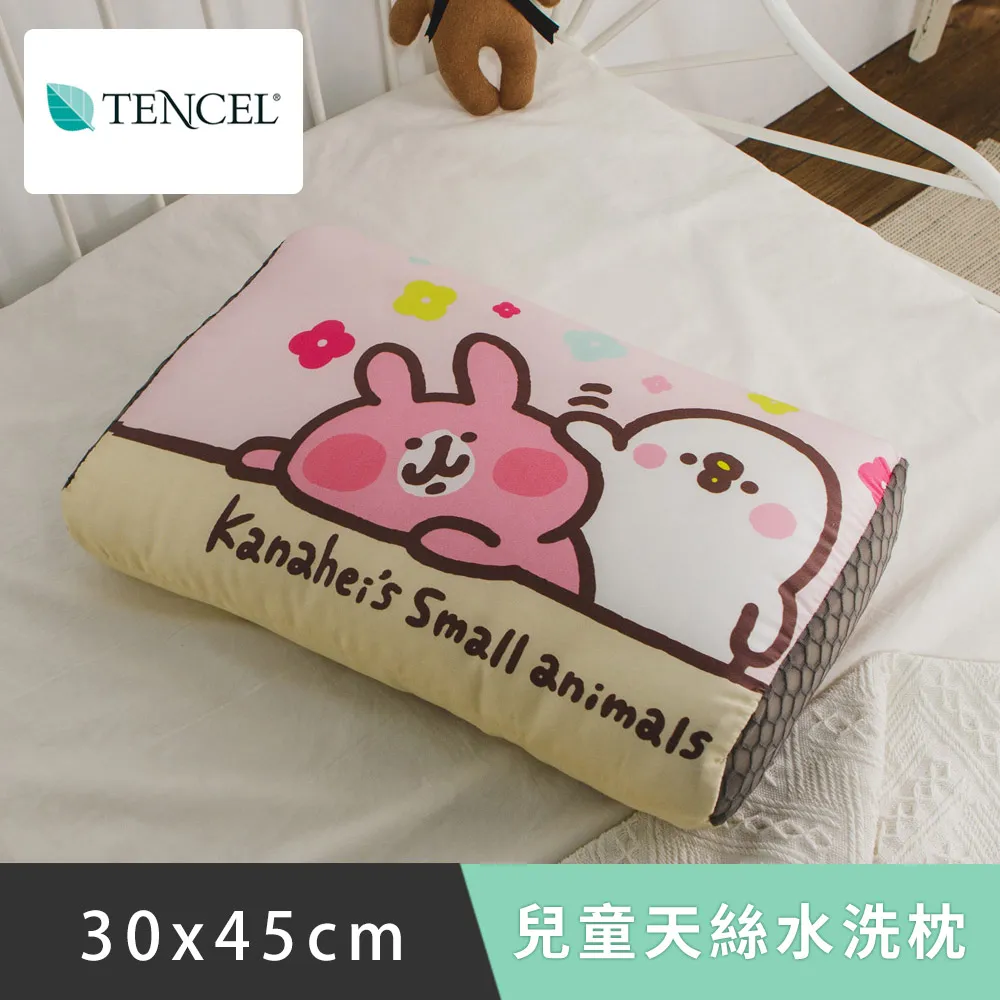 日和賞 正版授權 兒童天絲水洗枕1入(角落生物-大家一起來) 歷史價格詳細信息