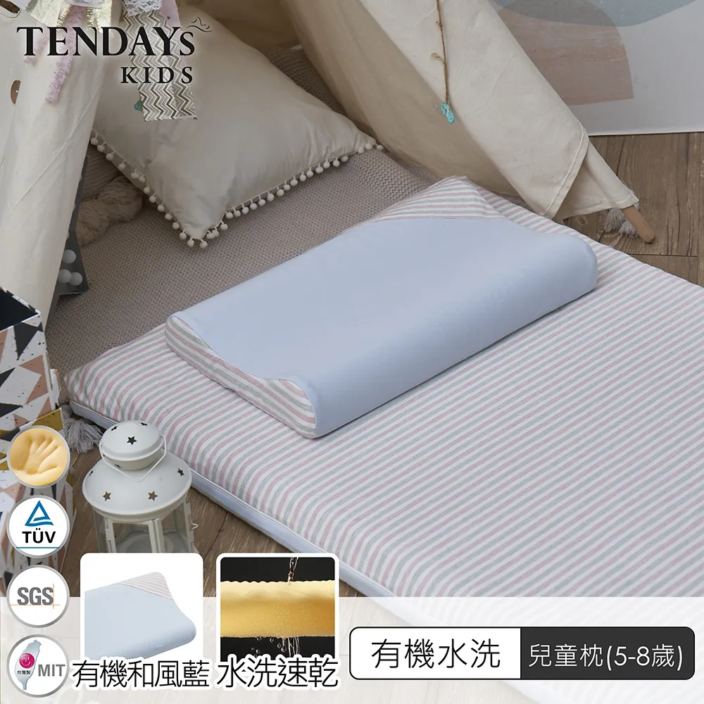 [TENDAYS] 水洗透氣嬰兒枕(0-4歲 可水洗記憶枕) 歷史價格詳細信息