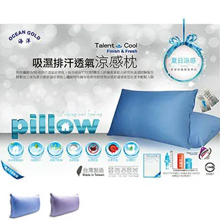 吸濕排汗涼感枕 台灣製造 歷史價格詳細信息