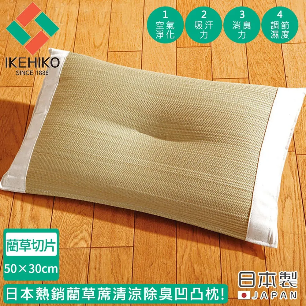 【IKEHIKO】日本製藺草涼席軟式枕墊套40x53(6810138) 歷史價格詳細信息