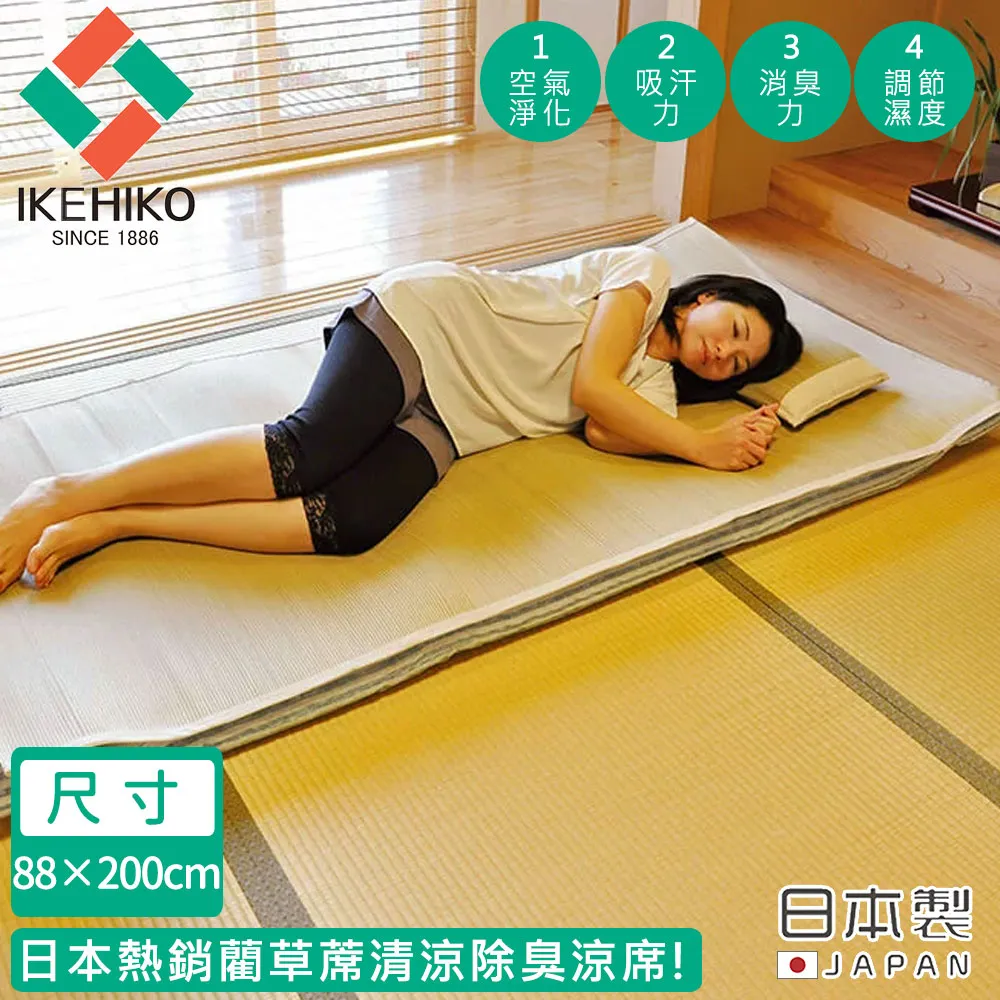 【IKEHIKO】日本製兒童涼感九州藺草武士平枕30X20(5431646) 歷史價格詳細信息