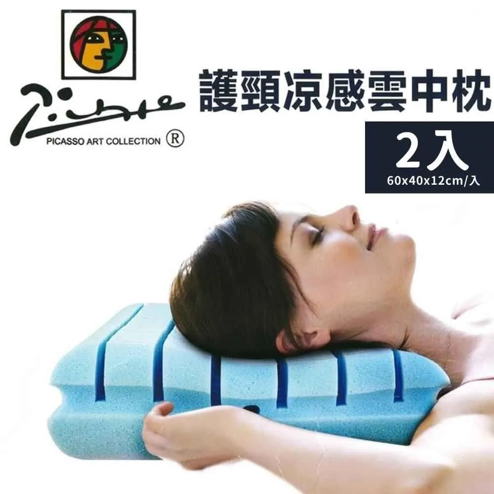 畢卡索工學水洗枕2入組( 43x73x9cm) 歷史價格詳細信息