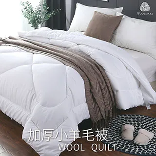 BELLE VIE 台灣製 台灣製 50顆袋裝Q彈獨立筒彈簧護頸枕 (45x75cm) 彈力枕 / 超透氣 歷史價格詳細信息