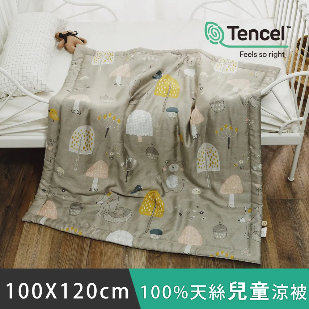 日和賞  MIT 100%天絲涼被【田園】150×195cm 歷史價格詳細信息