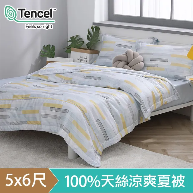 HOYACASA舒米 雙人六件式抗菌60支天絲兩用被床包組 歷史價格詳細信息