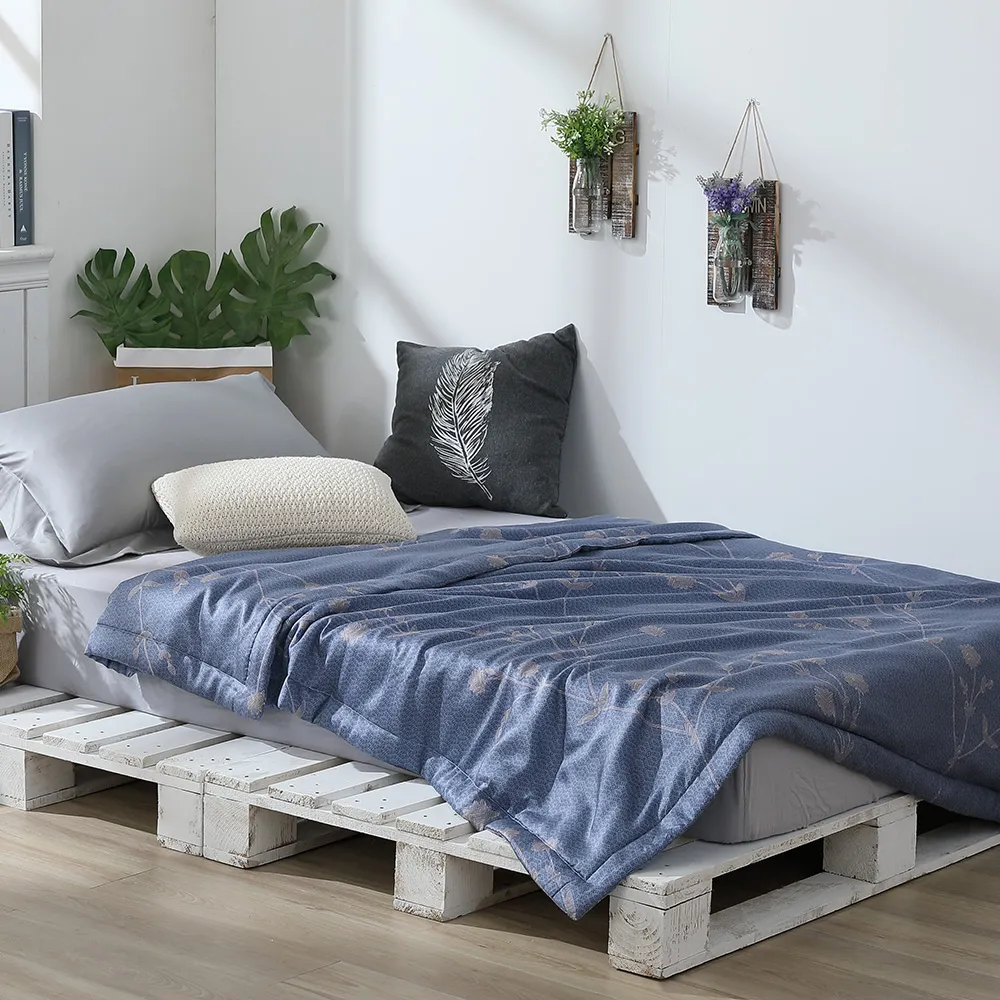 LAMINA 天絲涼被5X6.5尺-11款任選（可愛系列） 歷史價格詳細信息