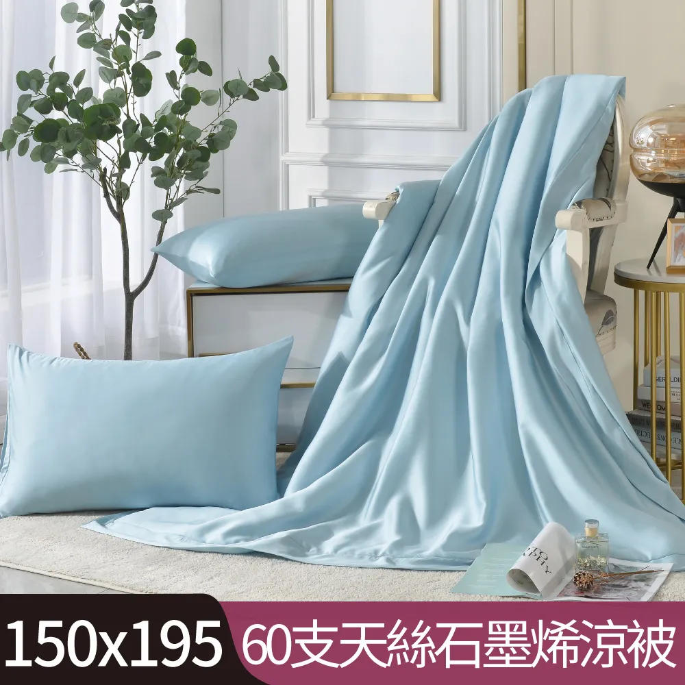 【Betrise石墨綠】C量能系列 300織紗100%純天絲™光淬石墨烯鋪棉涼被5X6.5尺一入(加贈同款枕套X2) 歷史價格詳細信息