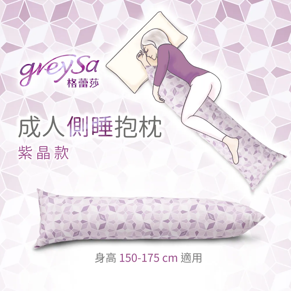 GreySa格蕾莎【成人側睡抱枕-童趣（含枕套）】 歷史價格詳細信息