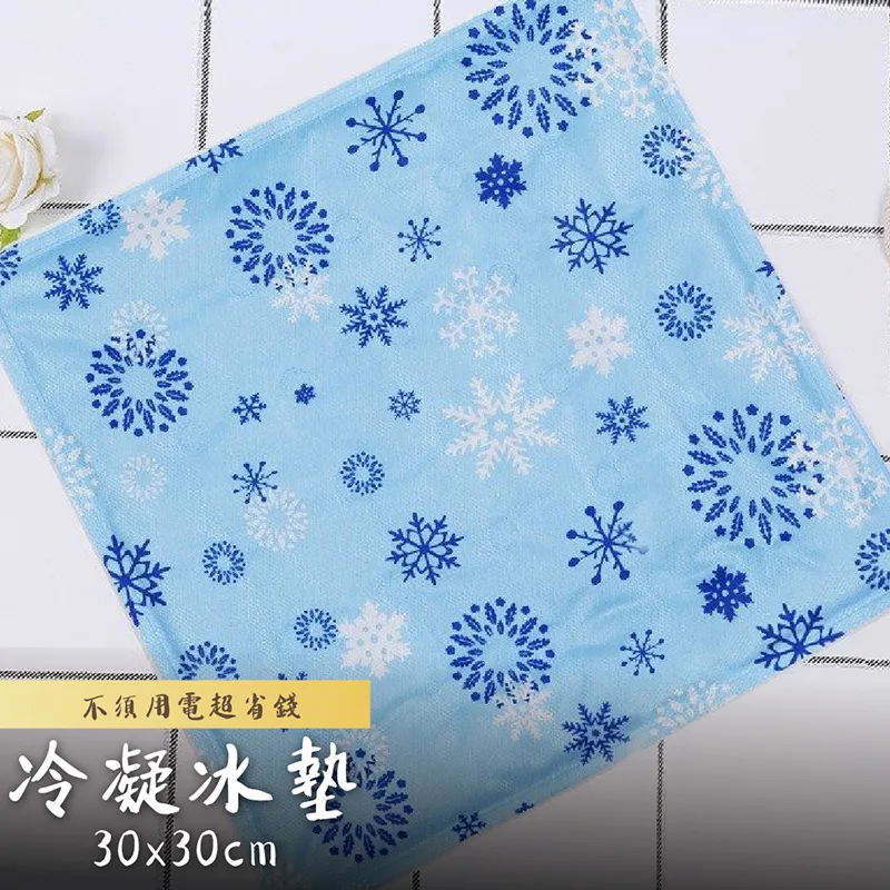 軟冰涼墊 30X40cm 二入超值組 歷史價格詳細信息