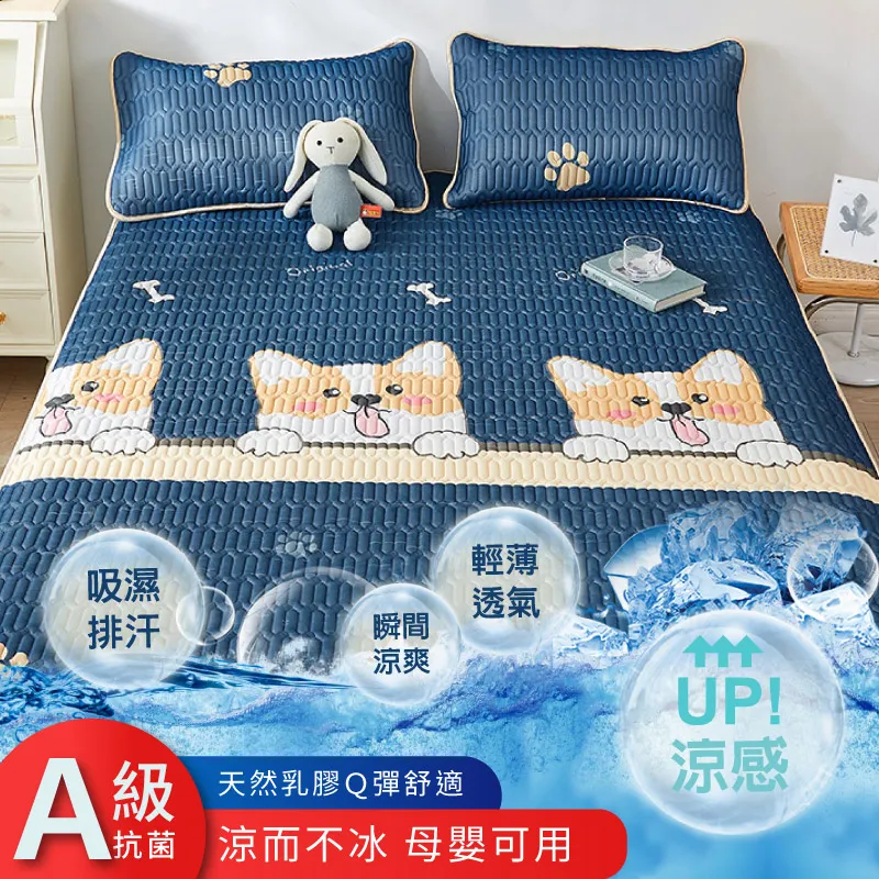 【DaoDi】冰絲乳膠沙發墊-雙人(沙發套 防滑沙發墊 沙發坐墊 沙發巾) 歷史價格詳細信息