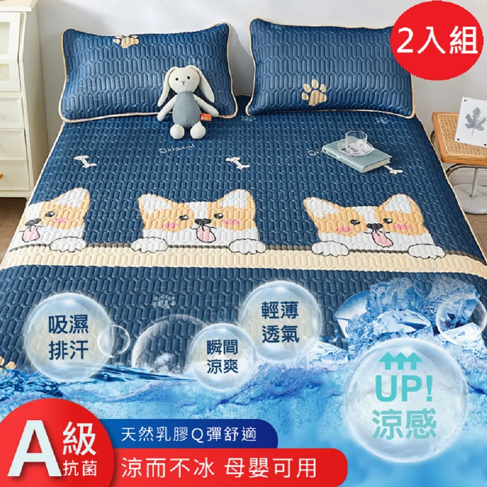 【DaoDi】冰絲乳膠沙發墊-雙人(沙發套 防滑沙發墊 沙發坐墊 沙發巾) 歷史價格詳細信息