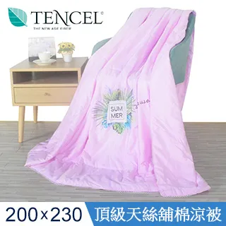 【J-bedtime】高質感天絲TENCEL®透氣四季涼被5X6.5尺-迷迭香 歷史價格詳細信息
