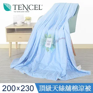 【J-bedtime】高質感天絲TENCEL®透氣四季涼被5X6.5尺-迷迭香 歷史價格詳細信息