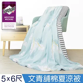【J-bedtime】文青風AB版吸濕排汗舖棉四季涼被-5X6尺(質感條紋) 歷史價格詳細信息