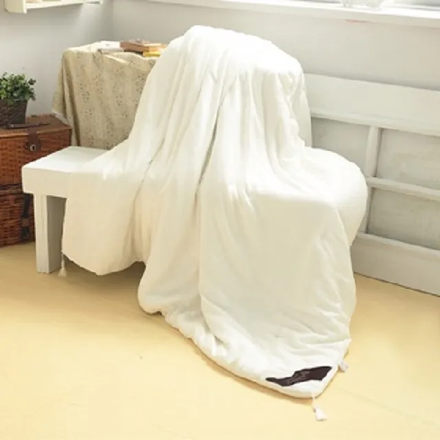 【FOCA頂級御用】 100%天然手工長纖蠶絲被(6X7尺) 價格比較,價格查詢,歷史價格詳細信息