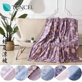 A-nice 100%桑蠶絲夏涼被 單人 雙人 加大 純天然長纖桑蠶絲 CNS品質手工拉絲手釘線 棉被 被胎 歷史價格詳細信息