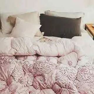 日和賞 科技羽絲絨被【風起】雙人/180*210cm 歷史價格詳細信息