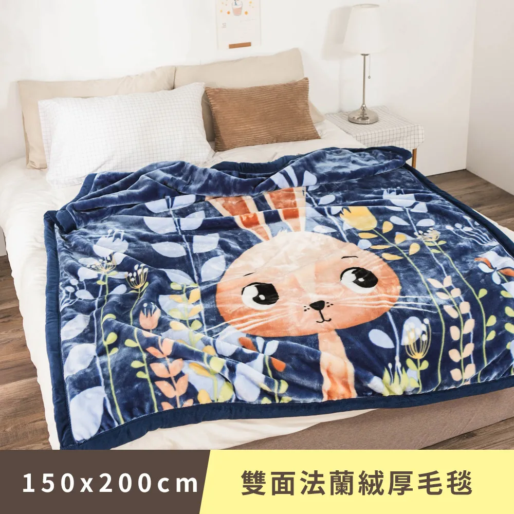 日和賞  雙面法蘭絨厚毛毯【小木馬】150×200cm/1.88kg 歷史價格詳細信息