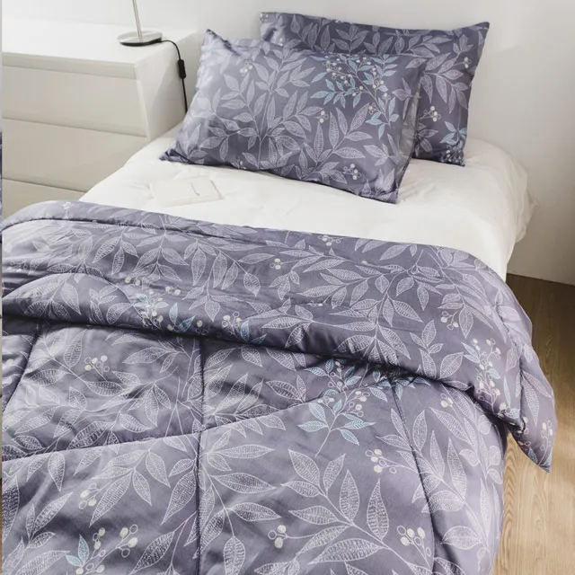 日和賞 MIT 3M科技天絲舒眠春秋被/空調被 【晚風】150x200cm 歷史價格詳細信息