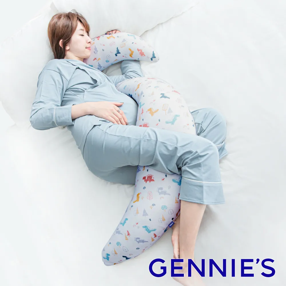 【Gennies 奇妮】安撫枕專用套-不含枕芯(恐龍樂園 淘氣米) 歷史價格詳細信息