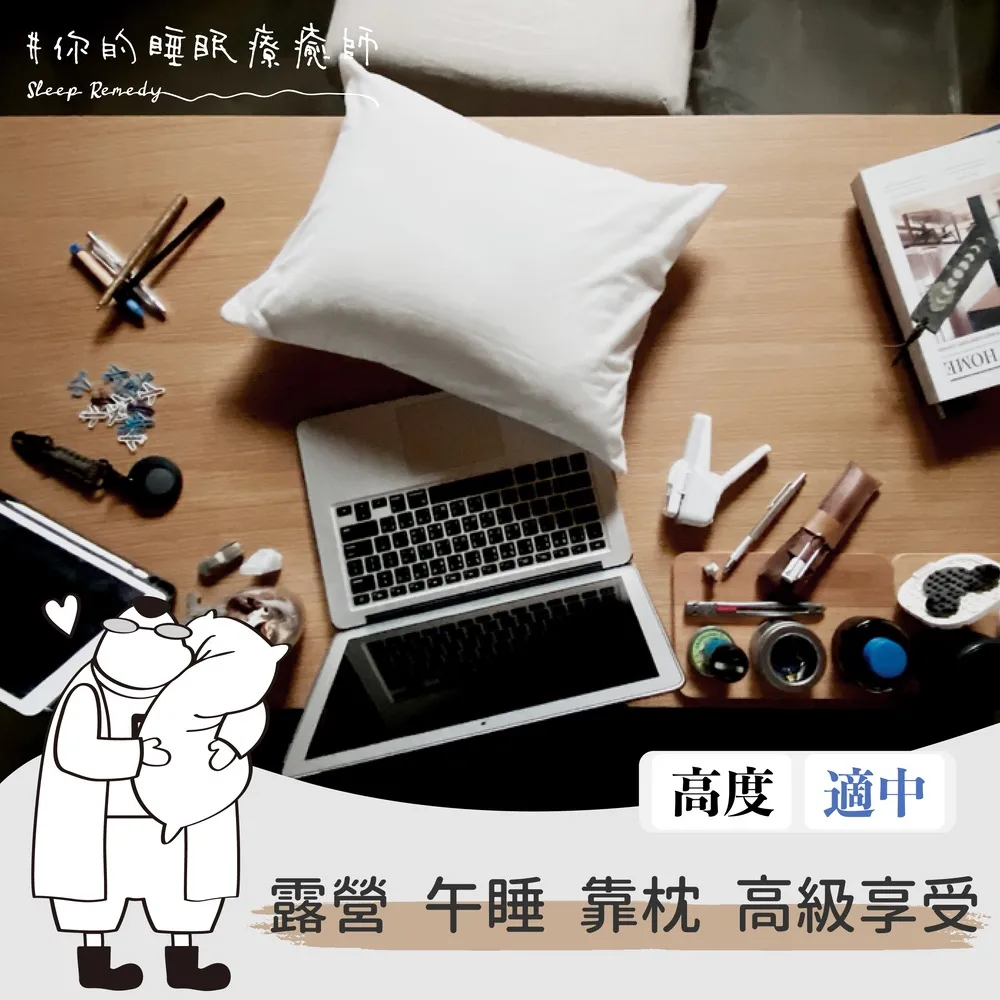 【Dpillow】抗菌防蹣經典枕頭-支撐(科技纖維：奈米氧化鋅) 歷史價格詳細信息