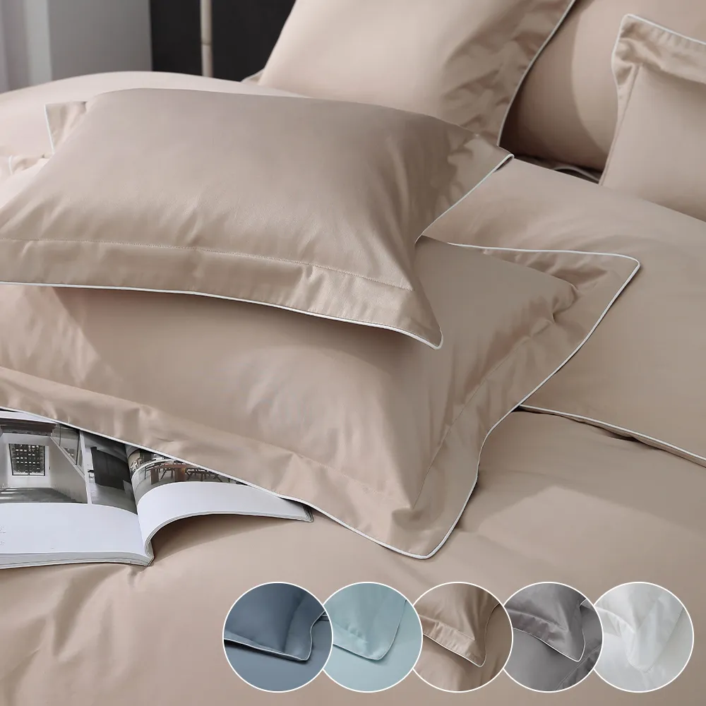 鴻宇 SUPIMA 500織 歐式壓框枕套2入 杰拉爾 台灣製2285 歷史價格詳細信息