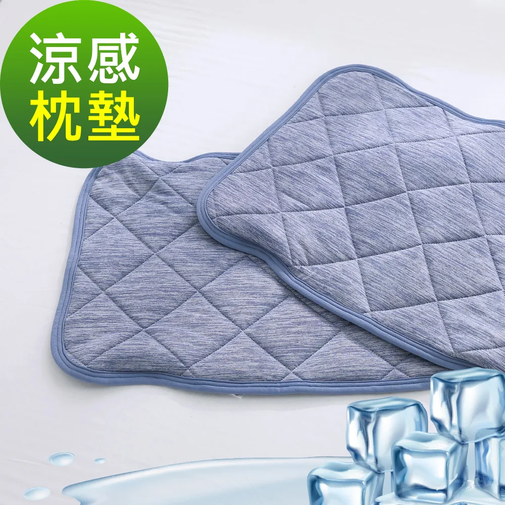 鴻宇 涼感-5度C 瞬涼可洗抗菌雙人加大保潔墊 SUPERCOOL接觸涼感 歷史價格詳細信息