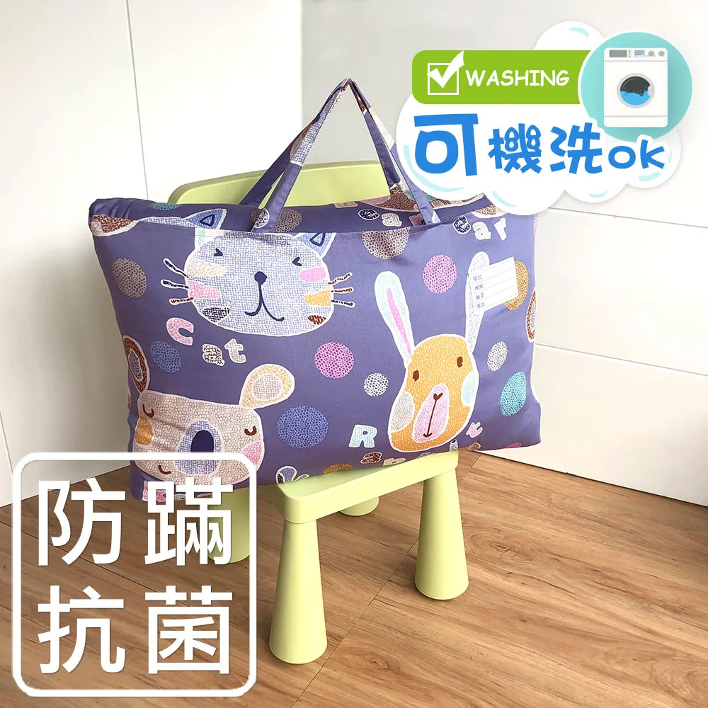 鴻宇 防蟎抗菌 兒童被 可機洗四季被+被套組 台灣製 多款任選 歷史價格詳細信息