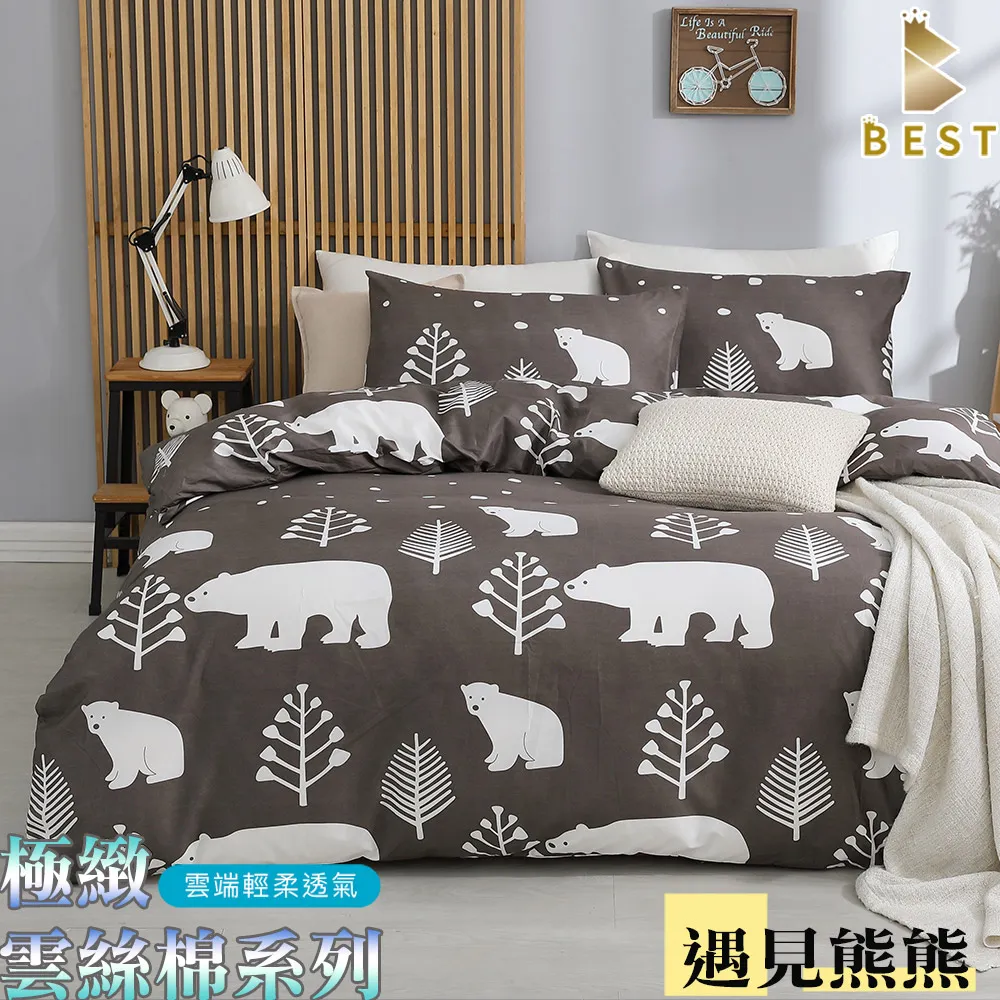 【BEST貝思特】極致雲絲棉 鋪棉兩用被套 雙人6x7尺 小維舍拉 歷史價格詳細信息