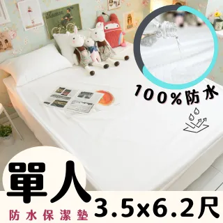 Anna Home/防水抗菌防蟎防污/床包式保潔墊/單人/台灣製/品質優異 歷史價格詳細信息