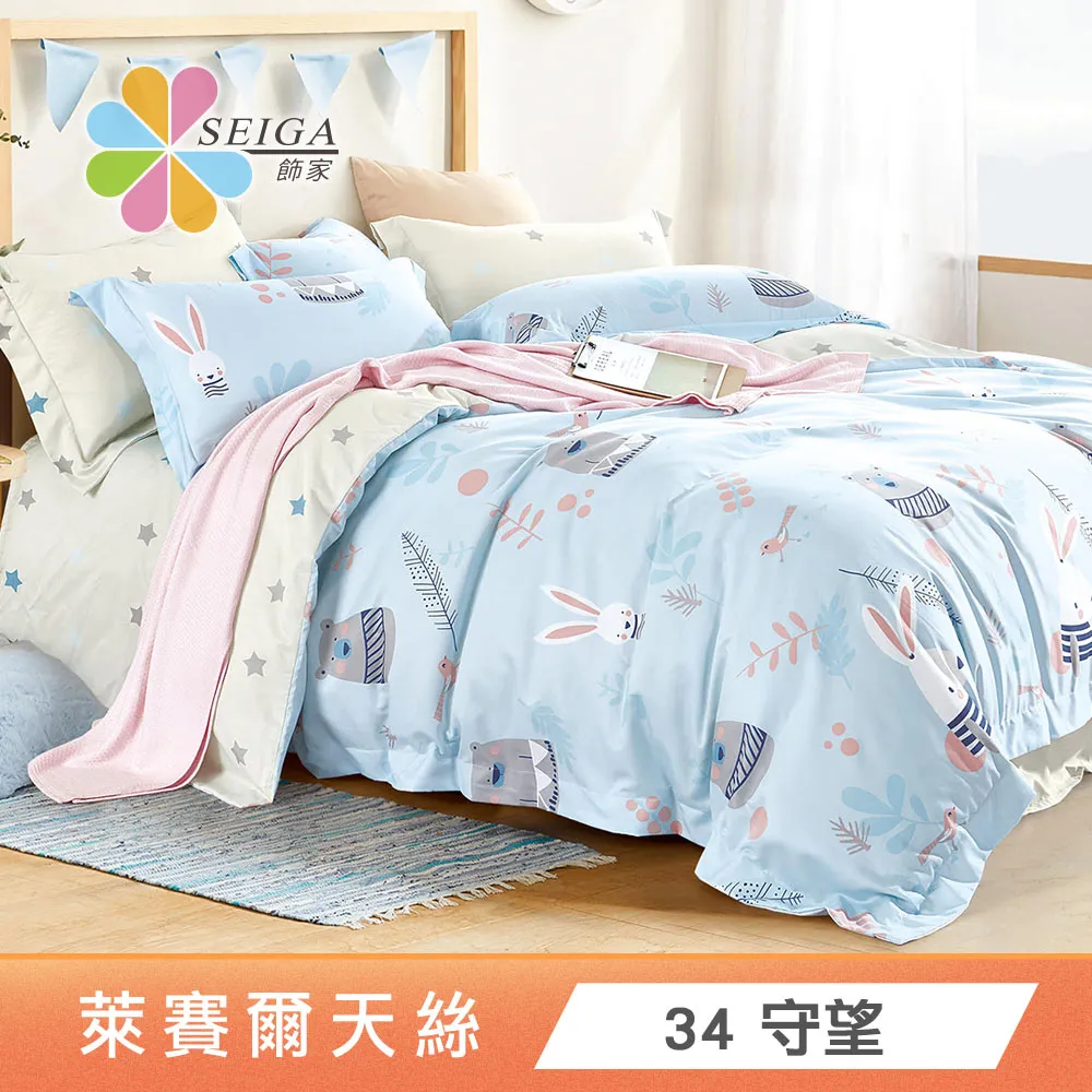 Seiga 台灣製絲柔棉枕套2入 (多款可選) 歷史價格詳細信息