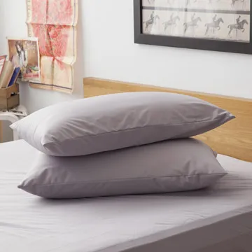 LAMINA  高科技膜防螨防水保潔墊1入-灰 (單人) 歷史價格詳細信息