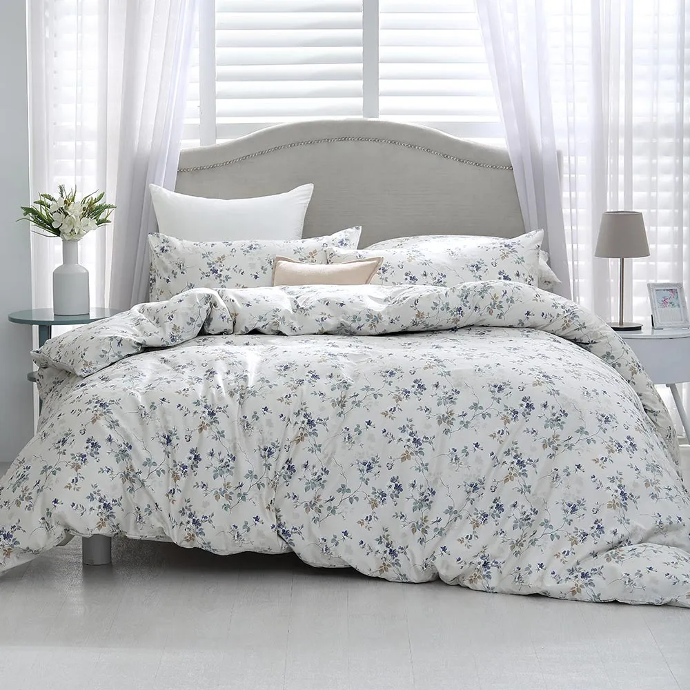 鴻宇 100%精梳棉 美國棉300織 藍伯特 雙人加大床包枕套三件組 歷史價格詳細信息