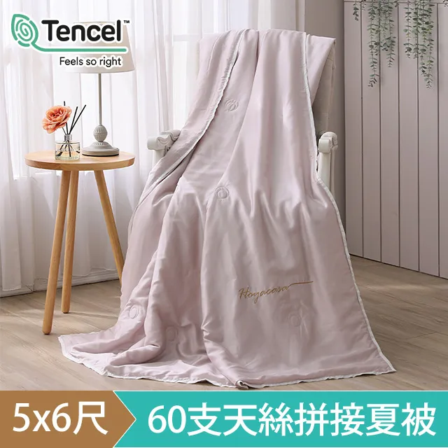 HOYACASA雅致丁香 清淺典雅系列60支天絲涼被(5X7尺) 歷史價格詳細信息