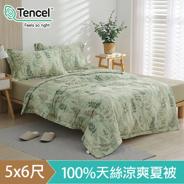 HOYACASA 60支萊賽爾天絲涼被(5x6尺)-多款任選 歷史價格詳細信息