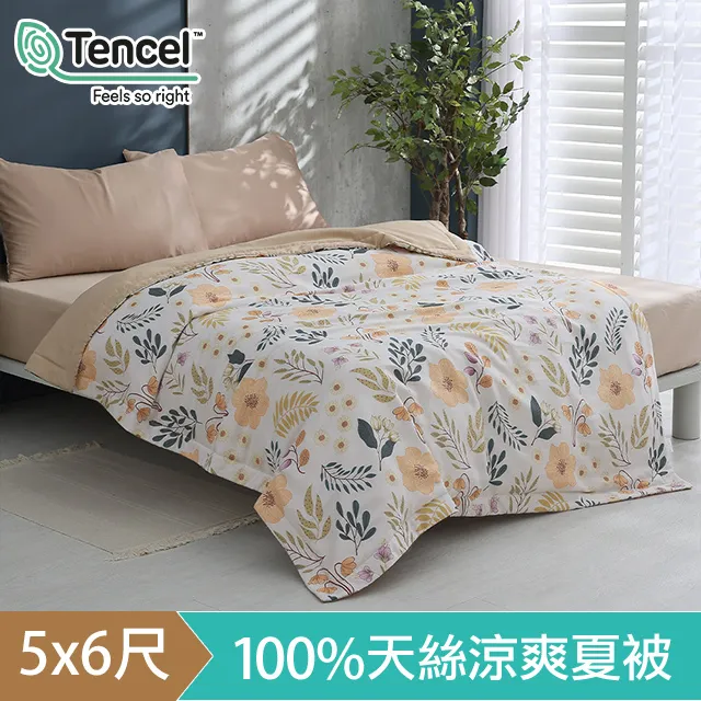 HOYACASA 極光岩層 特大四件式60支天絲兩用被套床包組 歷史價格詳細信息