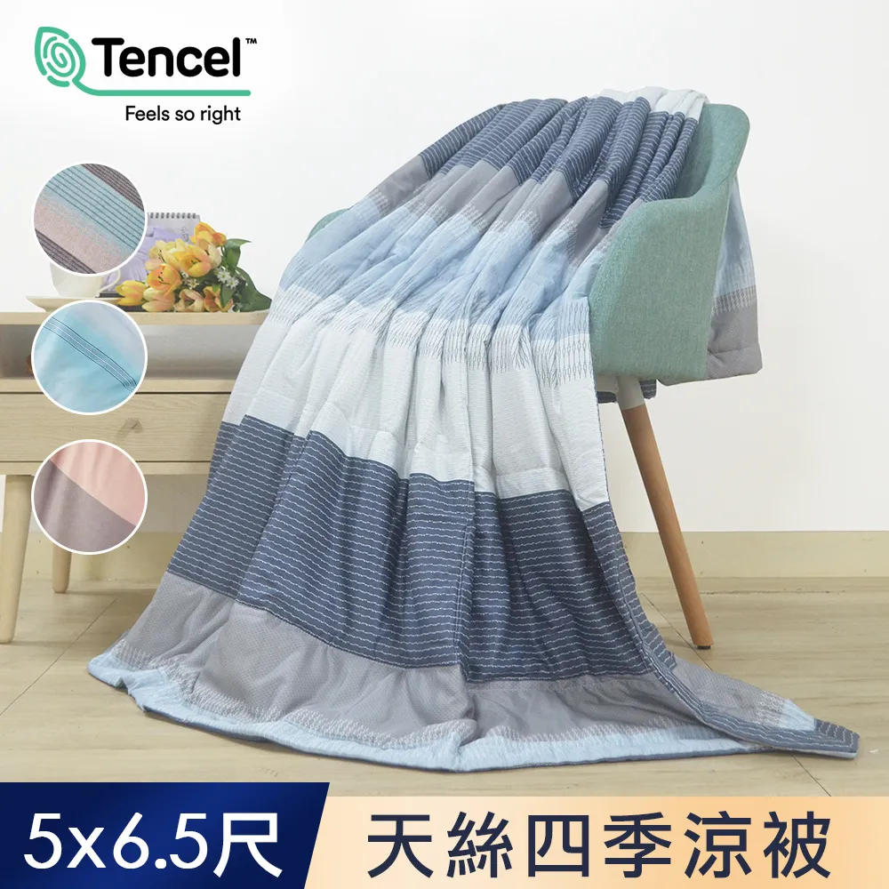 J-bedtime 萊賽爾天絲吸濕排汗枕套床包組(單人/雙人/加大) 歷史價格詳細信息