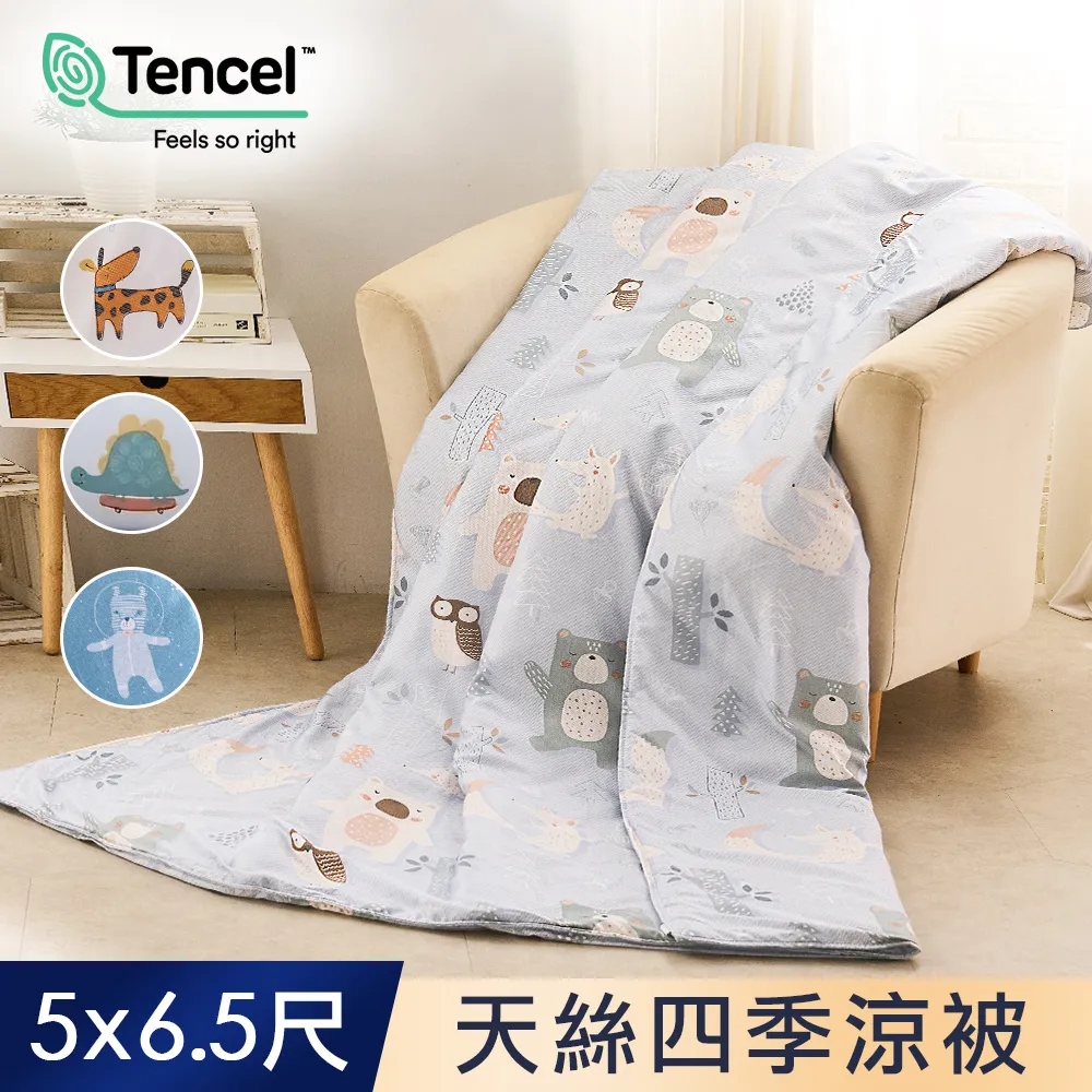 J-bedtime 萊賽爾天絲吸濕排汗枕套床包組(單人/雙人/加大) 歷史價格詳細信息