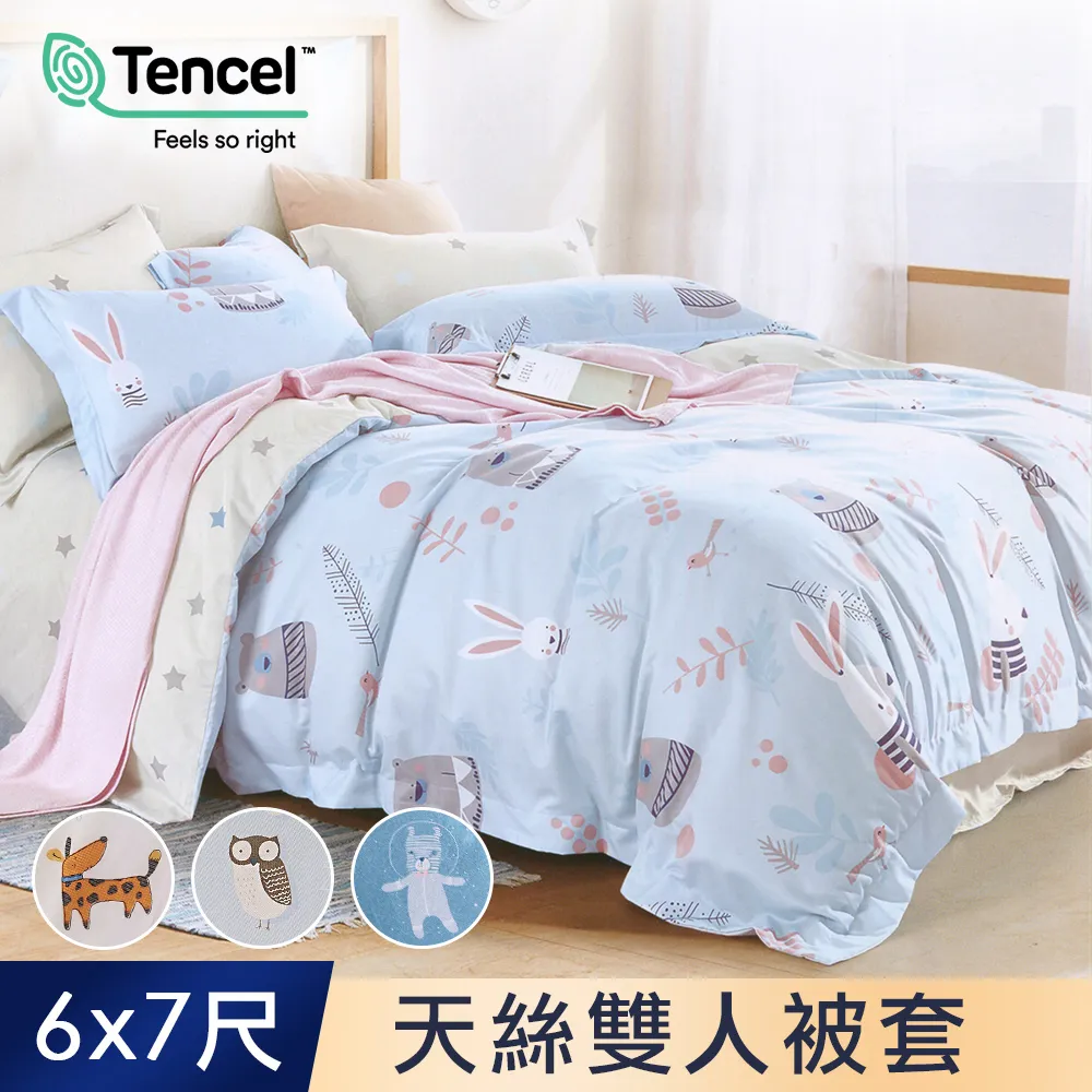 J-bedtime 萊賽爾天絲吸濕排汗枕套床包組(單人/雙人/加大) 歷史價格詳細信息