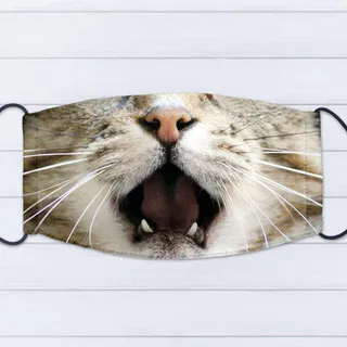 【IHERMI】貓咪插畫B 抱枕 現貨 台灣製 抱枕套 45cm 厚實帆布 耐水洗不退色 歷史價格詳細信息