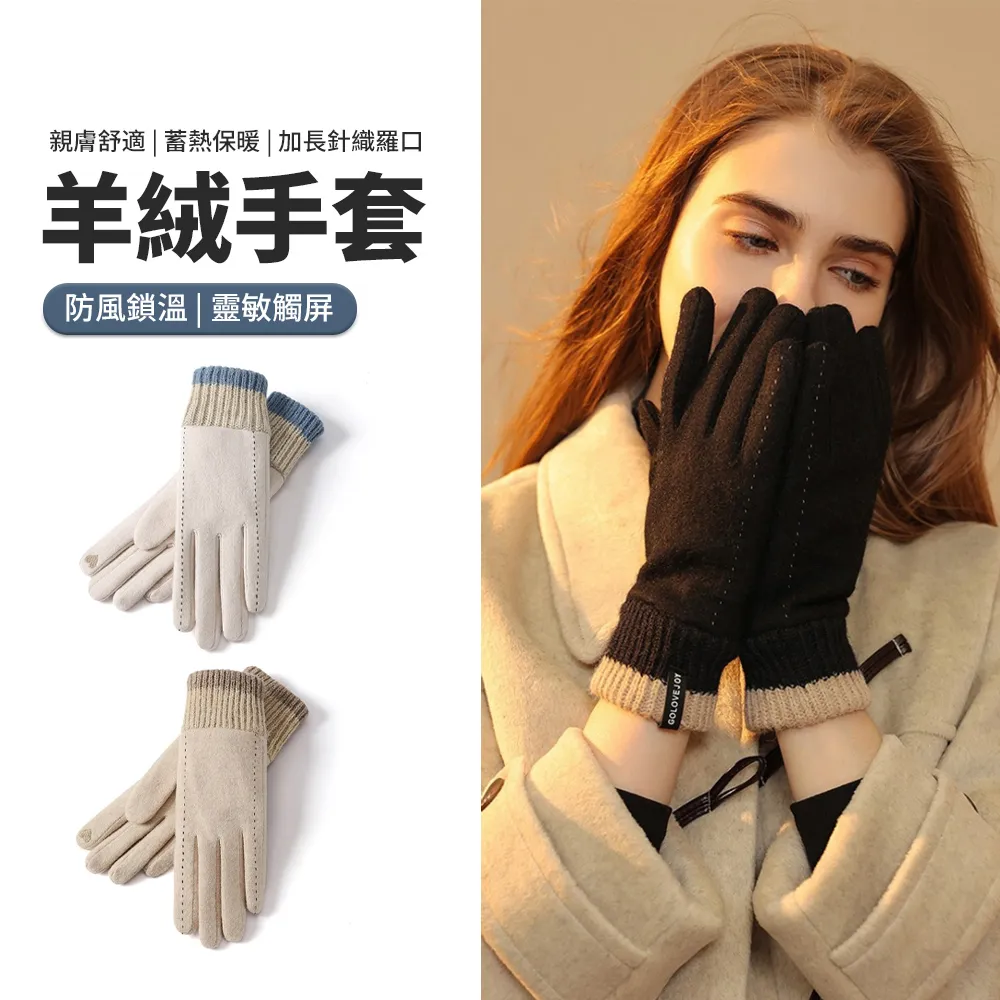 羊羔絨加厚款保暖手套2入 歷史價格詳細信息