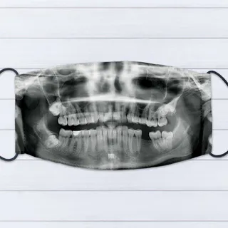 IHERMI 台北建築線條 抱枕套 45cm 台灣製 歷史價格詳細信息