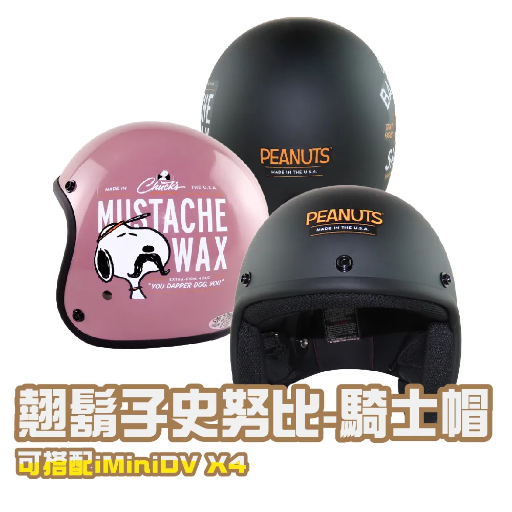 正版- 望子成人 父母需要培訓，孩子才能成長 -  楊雄 主編  - 2016-03-01  - 上海人民出版社 - 歷史價格詳細信息