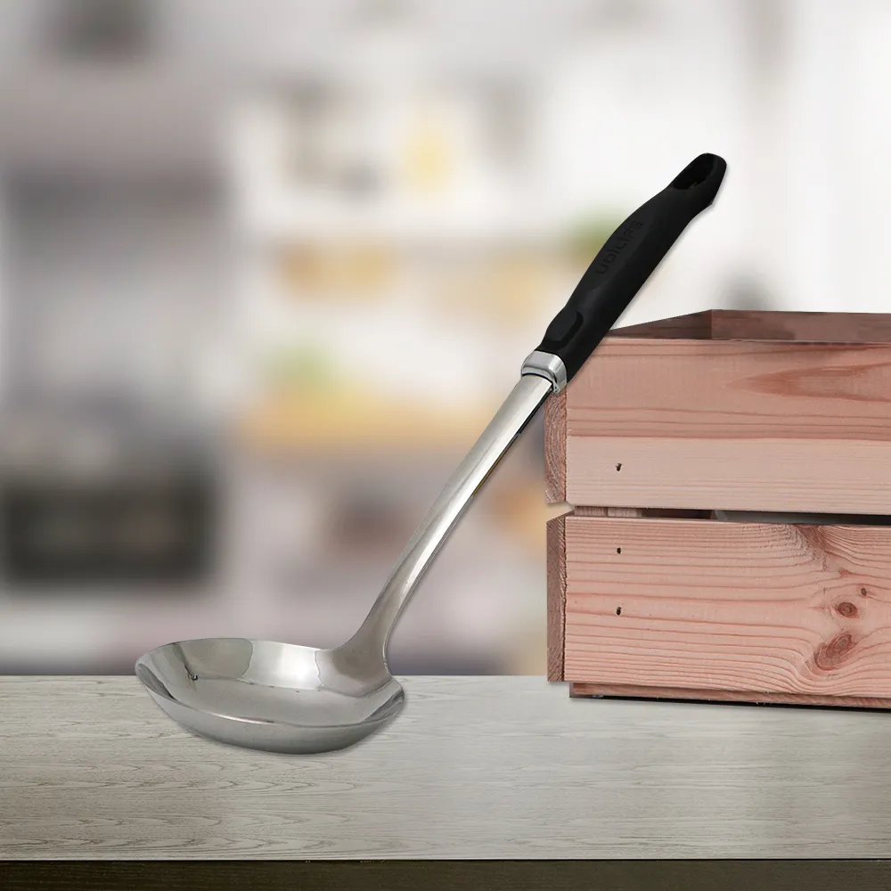 樂司台式304不鏽鋼小湯勺(23.5x6.5cm)-1入 歷史價格詳細信息